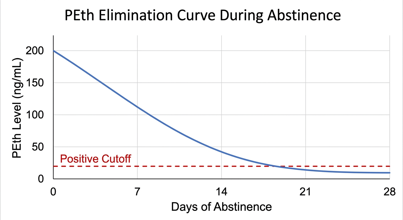 Peth Algorithm Alochol PEth Test Calculator Estimate When Your Blood Will Be Clean